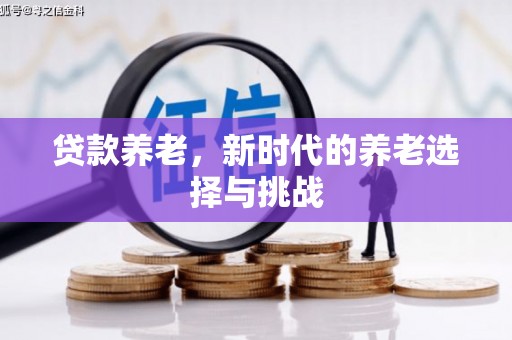 巨野贷款养老，新时代的养老选择与挑战