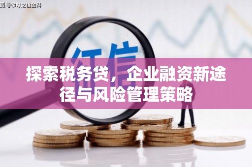 平潭探索税务贷，企业融资新途径与风险管理策略
