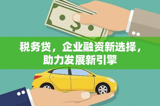 舟山新区税务贷，企业融资新选择，助力发展新引擎