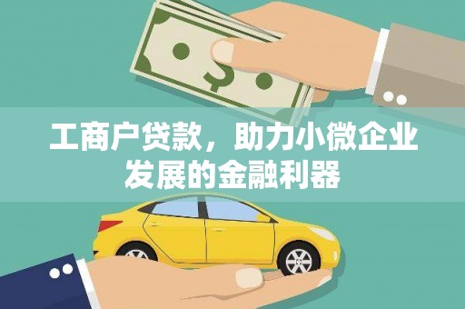 双湖工商户贷款，助力小微企业发展的金融利器