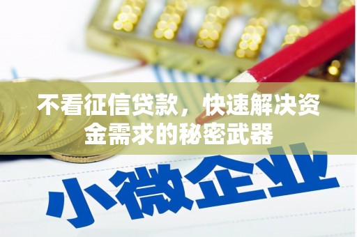 马关不看征信贷款，快速解决资金需求的秘密武器