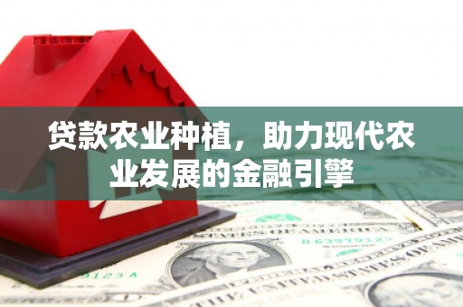 永济贷款农业种植，助力现代农业发展的金融引擎