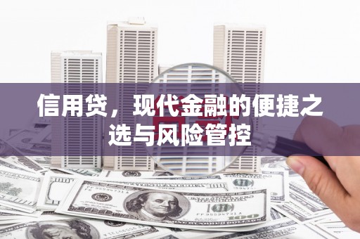 泉山信用贷，现代金融的便捷之选与风险管控