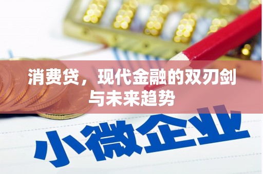 灵武消费贷，现代金融的双刃剑与未来趋势
