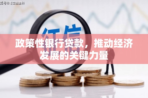 玛曲政策性银行贷款，推动经济发展的关键力量