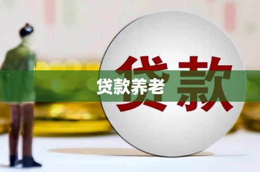 盐山贷款养老