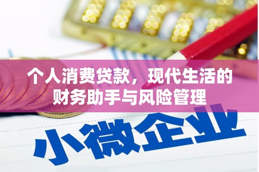 紫阳个人消费贷款，现代生活的财务助手与风险管理
