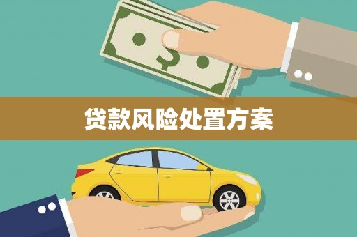 万全贷款风险处置方案