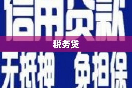 环江税务贷