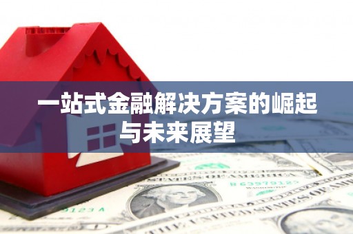 徐水一站式金融解决方案的崛起与未来展望