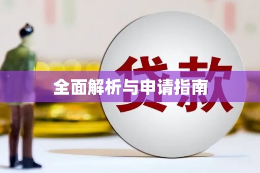 海盐全面解析与申请指南