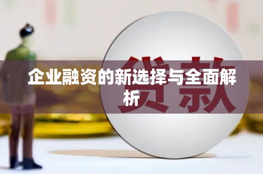 永德企业融资的新选择与全面解析
