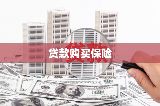 木垒贷款购买保险
