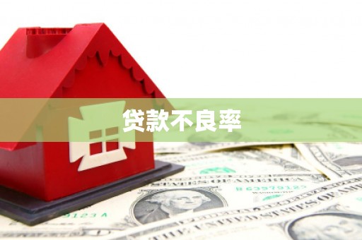 孝感贷款不良率