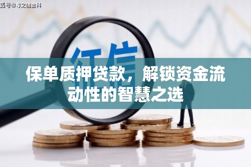 清城保单质押贷款，解锁资金流动性的智慧之选