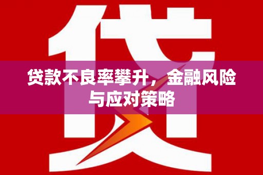 迪庆贷款不良率攀升，金融风险与应对策略