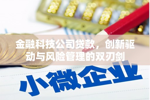 蓬江金融科技公司贷款，创新驱动与风险管理的双刃剑